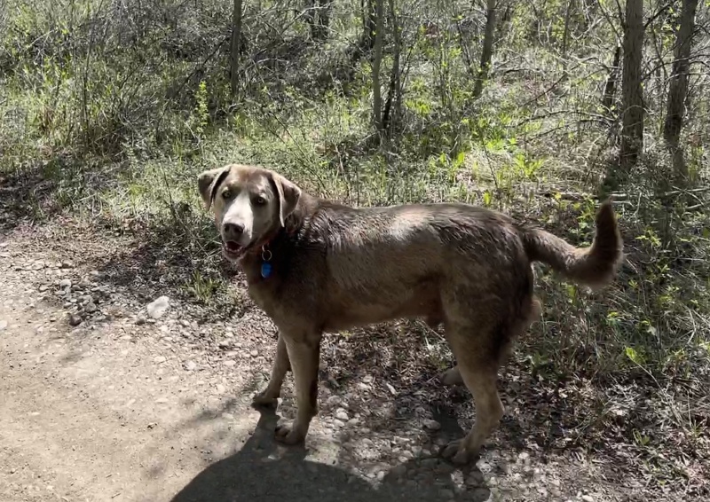 2023-05-27-Colorado-Bert-Bday-Camping-30-Hans.JPG