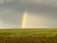 2023-05-17-Dumas-Rainbow-04.JPG