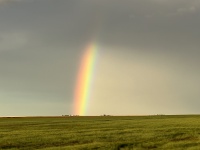 2023-05-17-Dumas-Rainbow-05.JPG