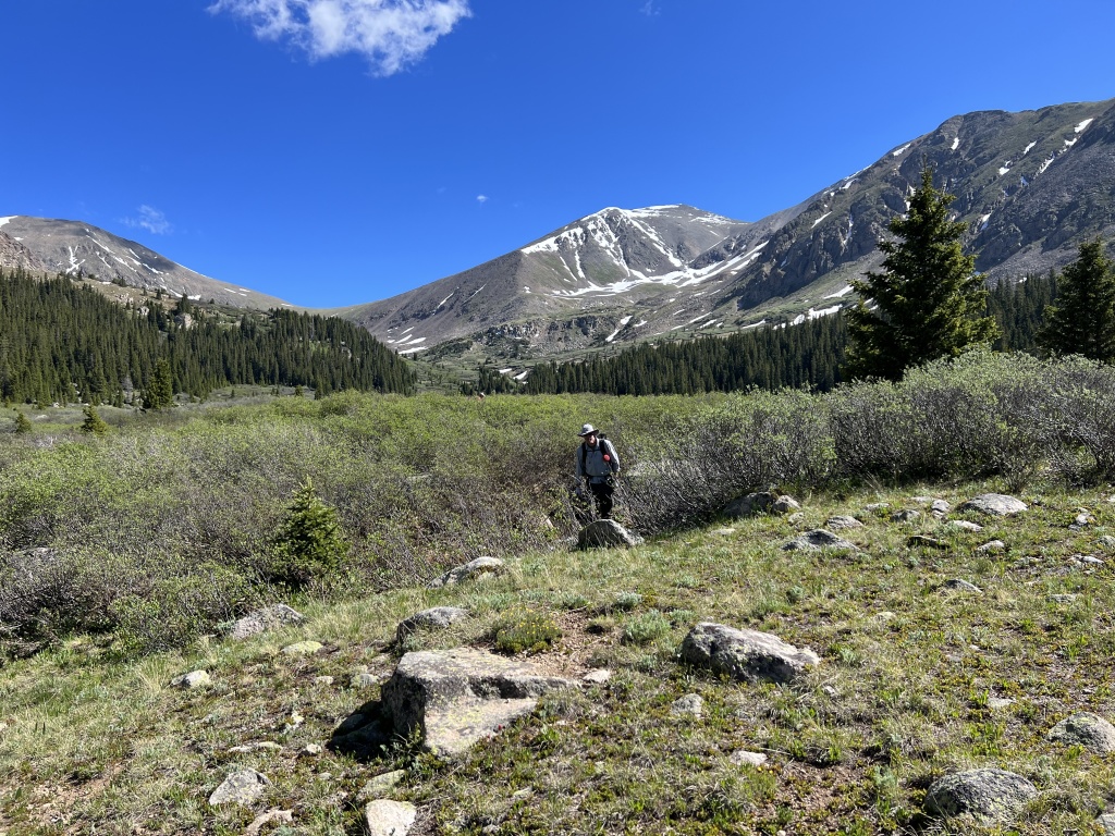 2023-07-01-Colorado-Chihuahua-Gultch-Hike-018-Travis.JPG