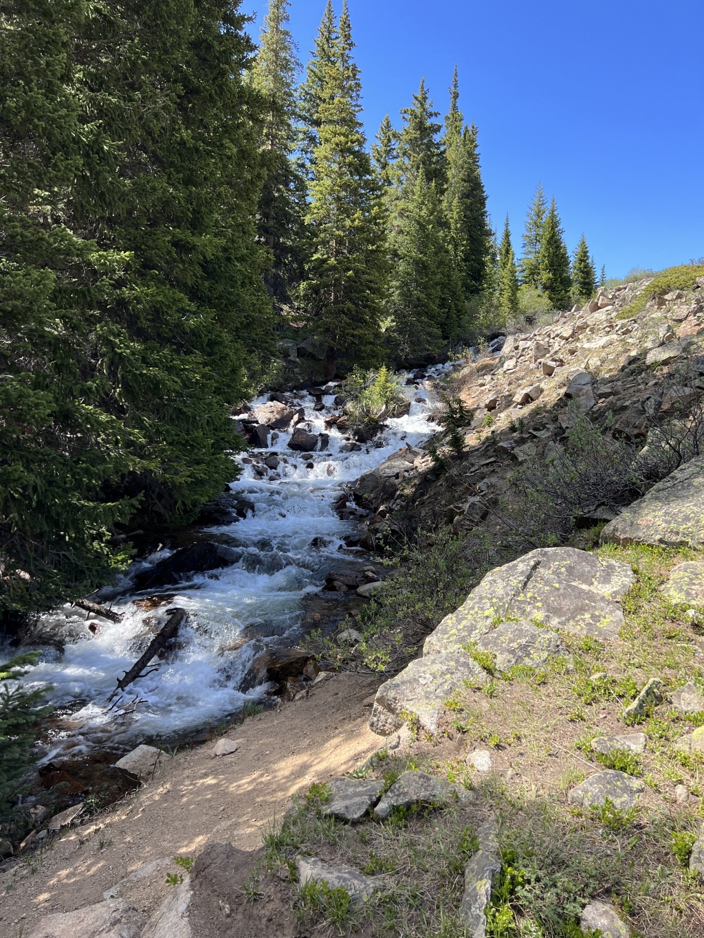 2023-07-01-Colorado-Chihuahua-Gultch-Hike-096.JPG