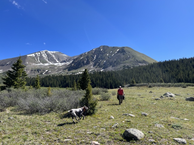 2023-07-01-Colorado-Chihuahua-Gultch-Hike-019-Ren-Blaze.JPG