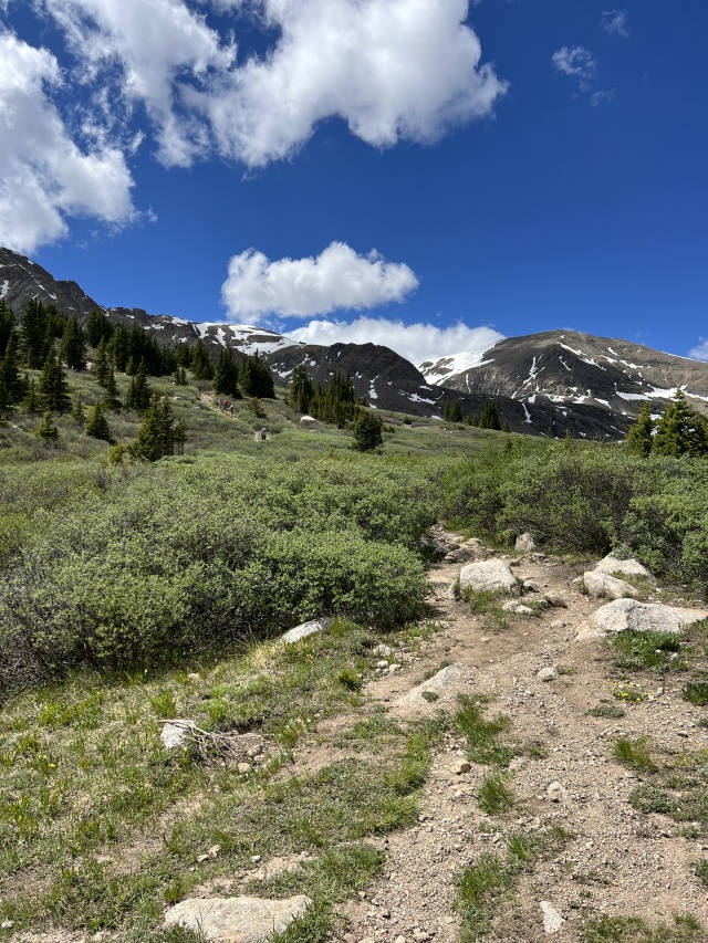 2023-07-01-Colorado-Chihuahua-Gultch-Hike-082.JPG