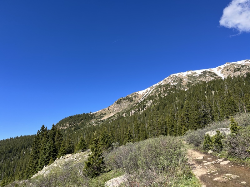 2023/06(June)/Colorado-Ben-Kavita-Stan-Steve-visit/800x600_2023-07-01-Colorado-Chihuahua-Gultch-Hike-011.JPG