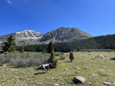 2023-07-01-Colorado-Chihuahua-Gultch-Hike-019-Ren-Blaze.JPG