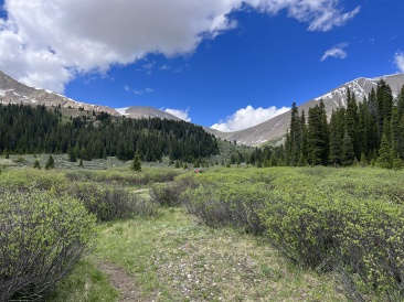 2023-07-01-Colorado-Chihuahua-Gultch-Hike-084.JPG