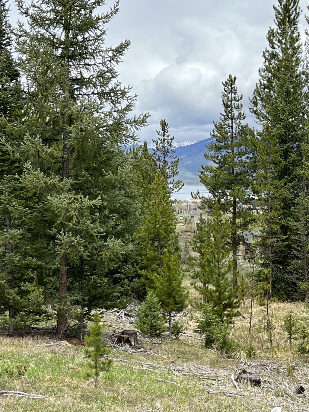 2023/06(June)/Colorado/2023-06-04-Colorado-02.JPG