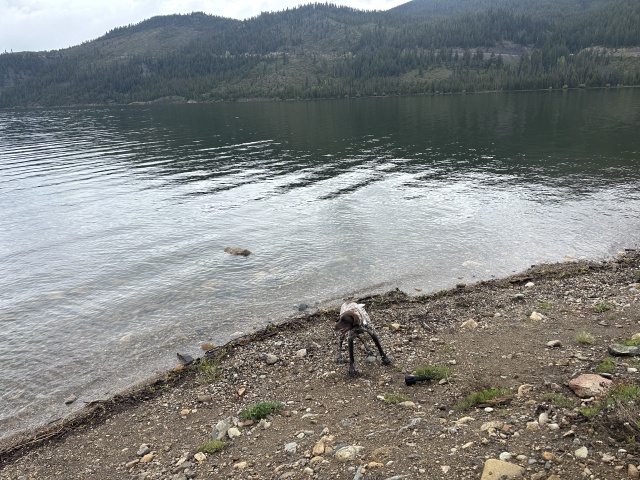 2023-06-17-Colorado-04-Lake-Dillon-Blaze.JPG