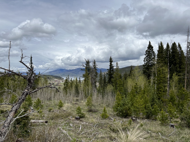 2023/06(June)/Colorado/800x600_2023-06-04-Colorado-03.JPG