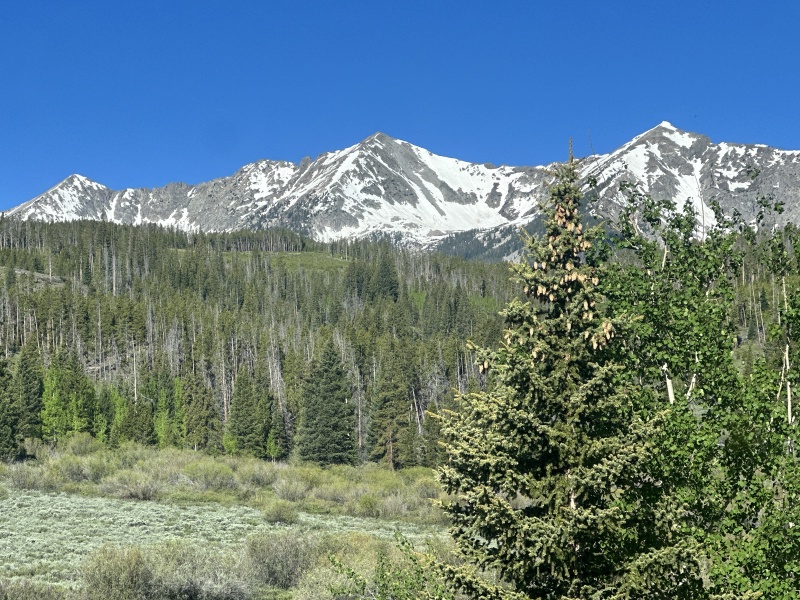 2023/06(June)/Colorado/800x600_2023-06-23-Colorado-40-Peak1.JPG