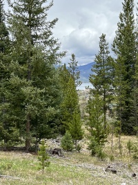 2023-06-04-Colorado-02.JPG