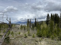 2023-06-04-Colorado-03.JPG
