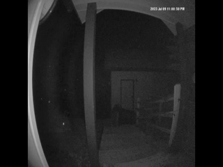 2023-07-09-Breckenridge-Bear-in-Trash-Can.png
