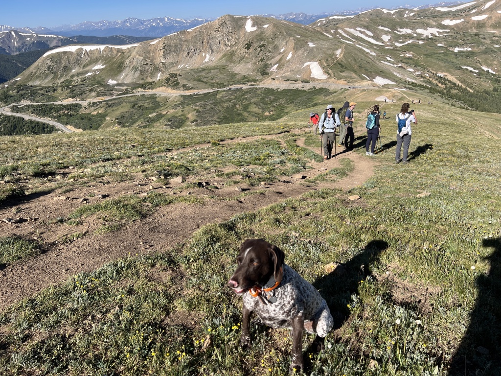 2023-07-15-Hiking-Cupid-Grizzly-08-Blaze-Travis-Ren.JPG