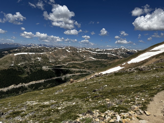 2023-07-15-Hiking-Cupid-Grizzly-60.jpg
