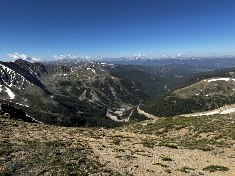 2023-07-15-Hiking-Cupid-Grizzly-24-mountain-goats.jpg