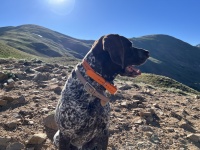 2023-07-15-Hiking-Cupid-Grizzly-05-Blaze.JPG