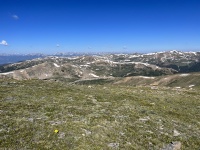 2023-07-15-Hiking-Cupid-Grizzly-33.JPG