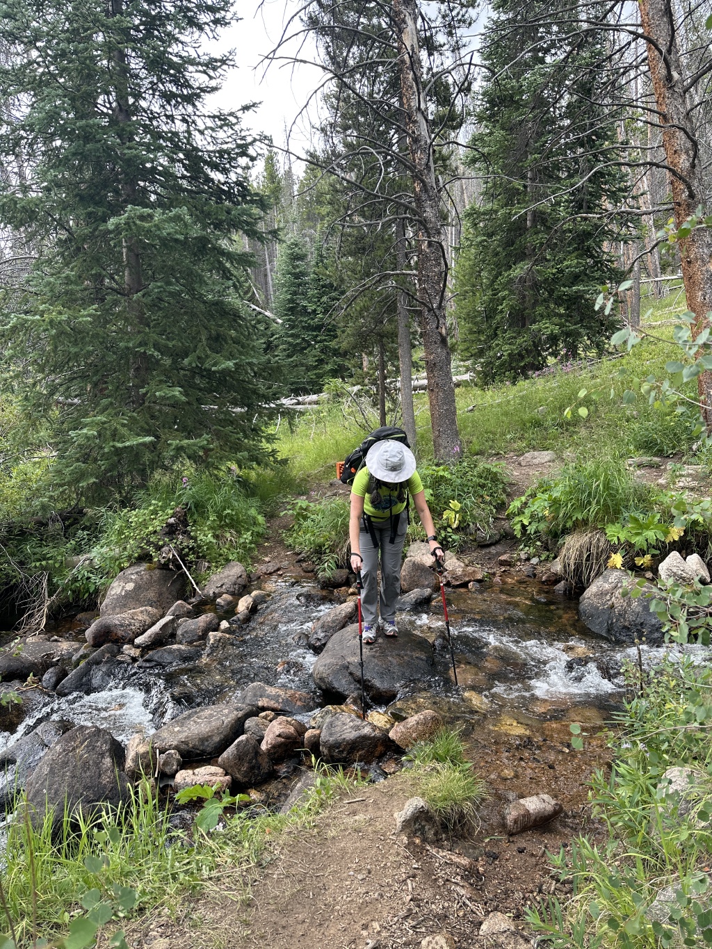 2023/08(August)/Hiking-Buffalo-Mountain-with-Suzi/1024x768_2023-08-12-Camping-Buffalo-Mountain-11-Suzi.JPG