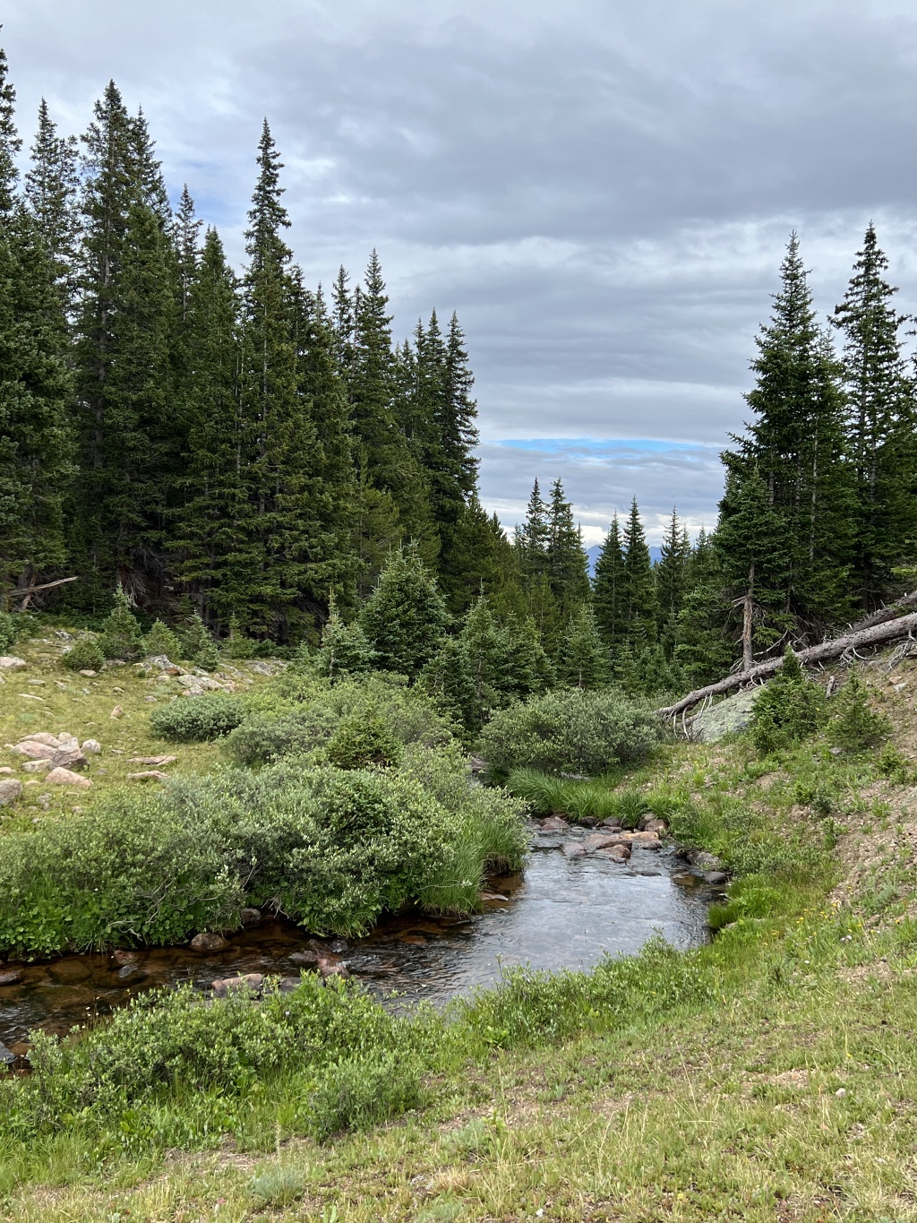 2023-08-12-Camping-Buffalo-Mountain-24.JPG