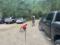 2023-08-12-Camping-Buffalo-Mountain-02-Blaze-Suzi.JPG