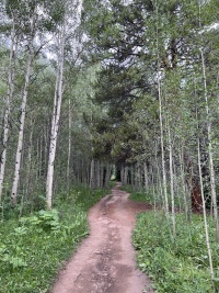 2023-08-12-Camping-Buffalo-Mountain-04.JPG