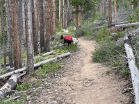 2023-08-12-Camping-Buffalo-Mountain-13-Blaze.JPG