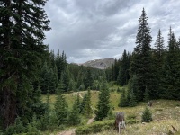 2023-08-12-Camping-Buffalo-Mountain-15.JPG