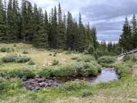 2023-08-12-Camping-Buffalo-Mountain-26.JPG