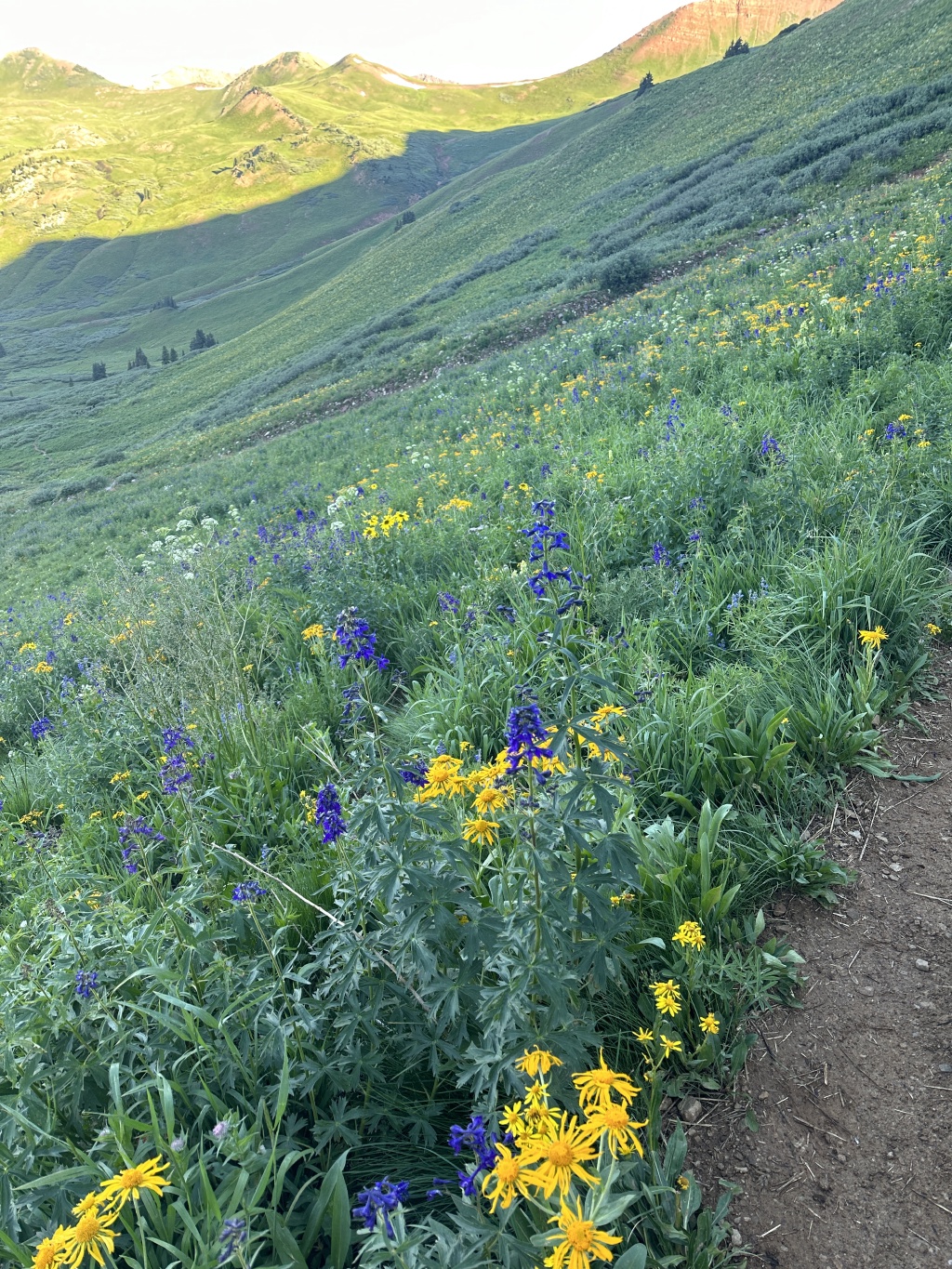 2023/08(August)/Maroon-Bells-4-Pass-Loop/1024x768_2023-08-04-Maroon-Bells-Four-Pass-Loop-042.JPG