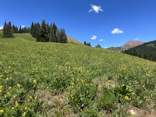 2023/08(August)/Maroon-Bells-4-Pass-Loop/640x480_2023-08-03-Maroon-Bells-Four-Pass-Loop-017.JPG