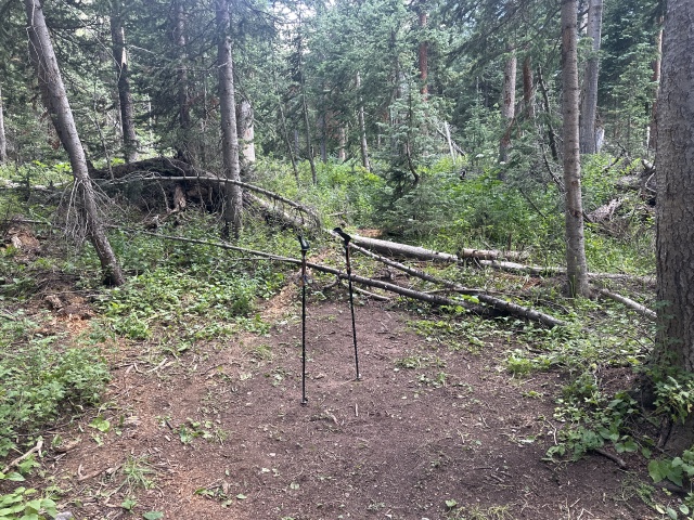 2023-08-05-Maroon-Bells-Four-Pass-Loop-171.JPG