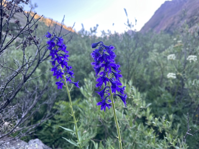 2023/08(August)/Maroon-Bells-4-Pass-Loop/640x480_2023-08-06-Maroon-Bells-Four-Pass-Loop-189.JPG