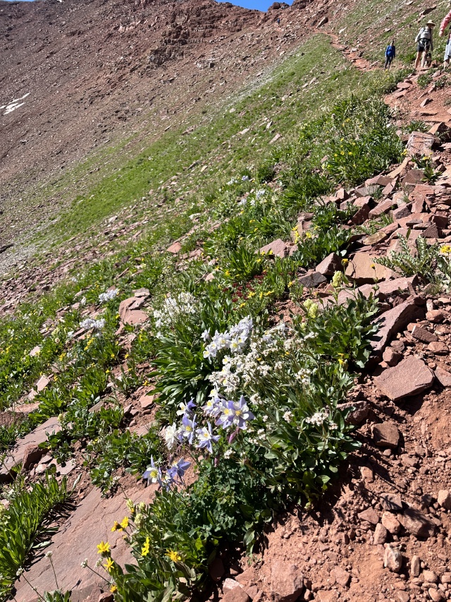 2023/08(August)/Maroon-Bells-4-Pass-Loop/640x480_2023-08-06-Maroon-Bells-Four-Pass-Loop-206.JPG