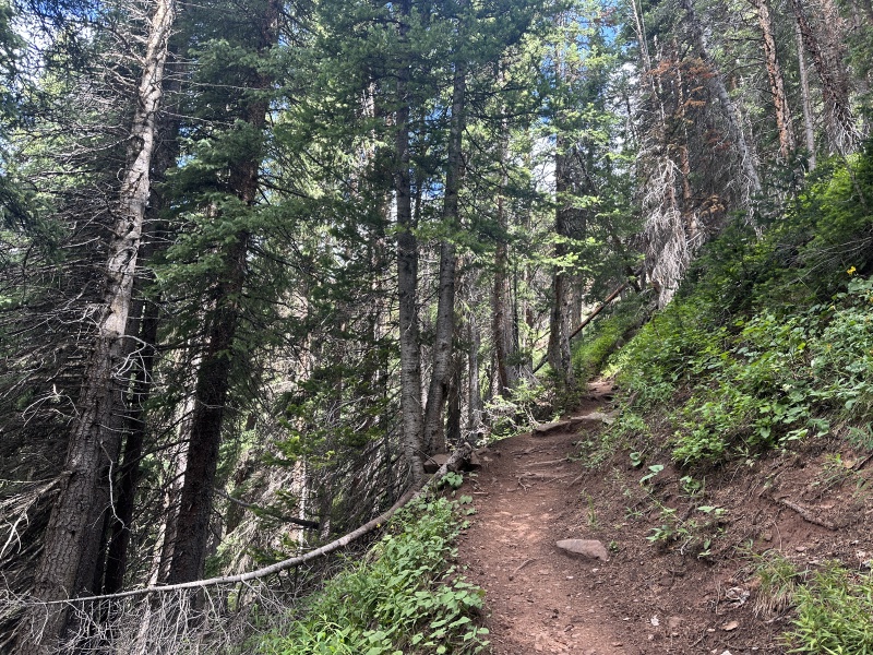 2023/08(August)/Maroon-Bells-4-Pass-Loop/800x600_2023-08-04-Maroon-Bells-Four-Pass-Loop-084.JPG