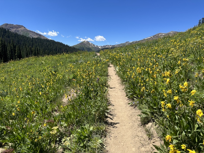 2023/08(August)/Maroon-Bells-4-Pass-Loop/800x600_2023-08-06-Maroon-Bells-Four-Pass-Loop-245.JPG