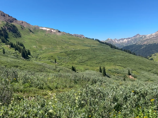 2023-08-06-Maroon-Bells-4-Pass-Loop-Flowers-in-Valley.png