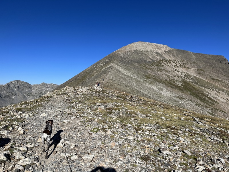 2023-08-19-Quandary-Peak-10-Blaze.JPG