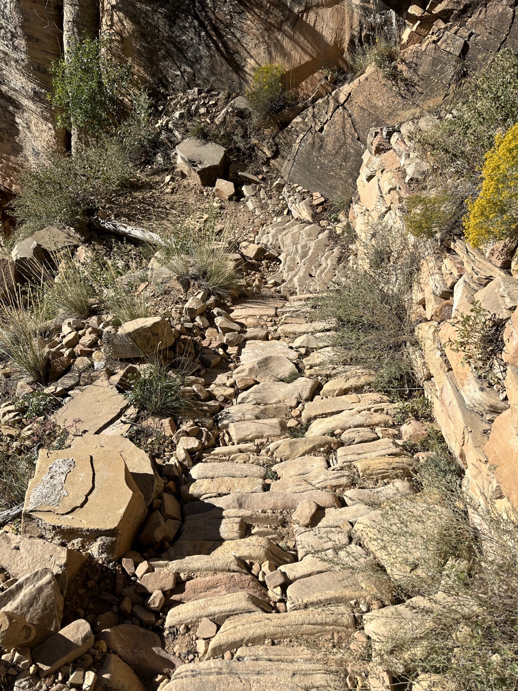 2023/10(October)/Grand-Canyon-Suzi-Carl-Travis/1024x768_2023-10-05-Grand-Canyon-032.JPG