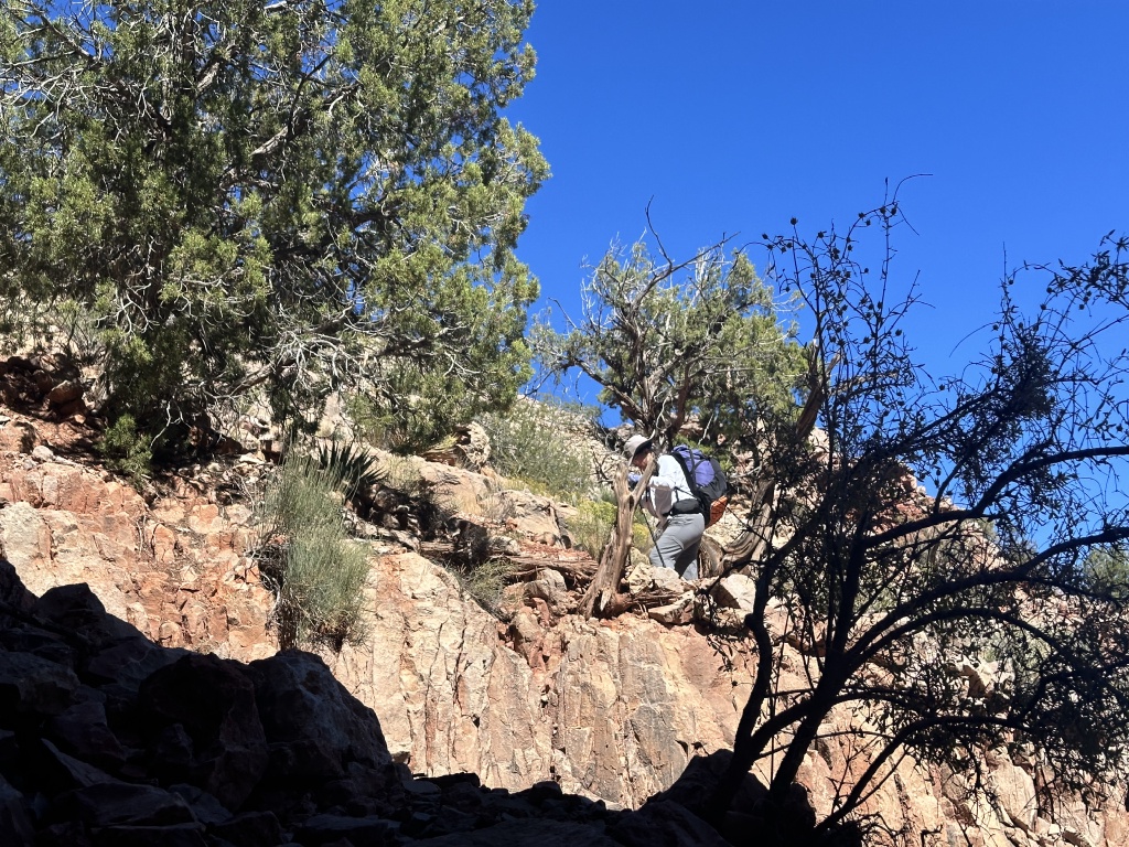 2023/10(October)/Grand-Canyon-Suzi-Carl-Travis/1024x768_2023-10-05-Grand-Canyon-056-Suzi.JPG