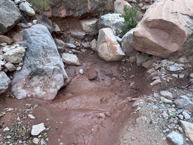 2023-10-05-Grand-Canyon-071-water-mud.JPG