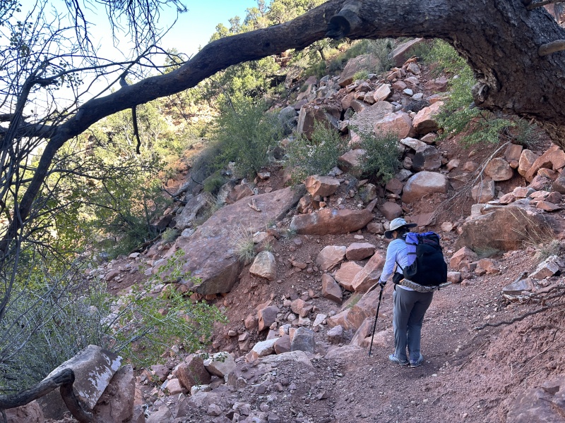 2023/10(October)/Grand-Canyon-Suzi-Carl-Travis/800x600_2023-10-05-Grand-Canyon-037-Suzi.JPG