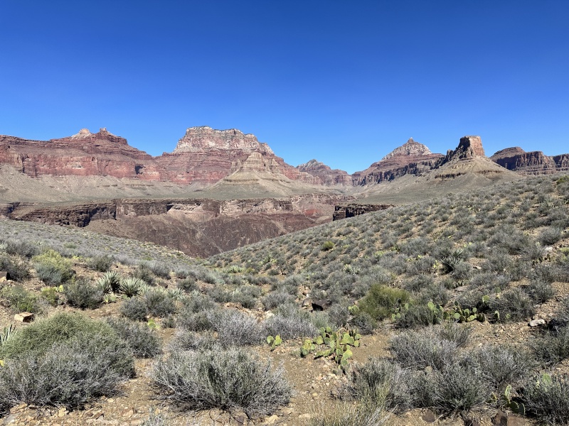 2023/10(October)/Grand-Canyon-Suzi-Carl-Travis/800x600_2023-10-06-Grand-Canyon-108.JPG