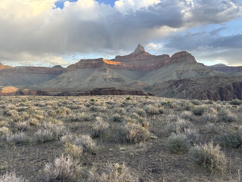 2023-10-08-Grand-Canyon-163.JPG