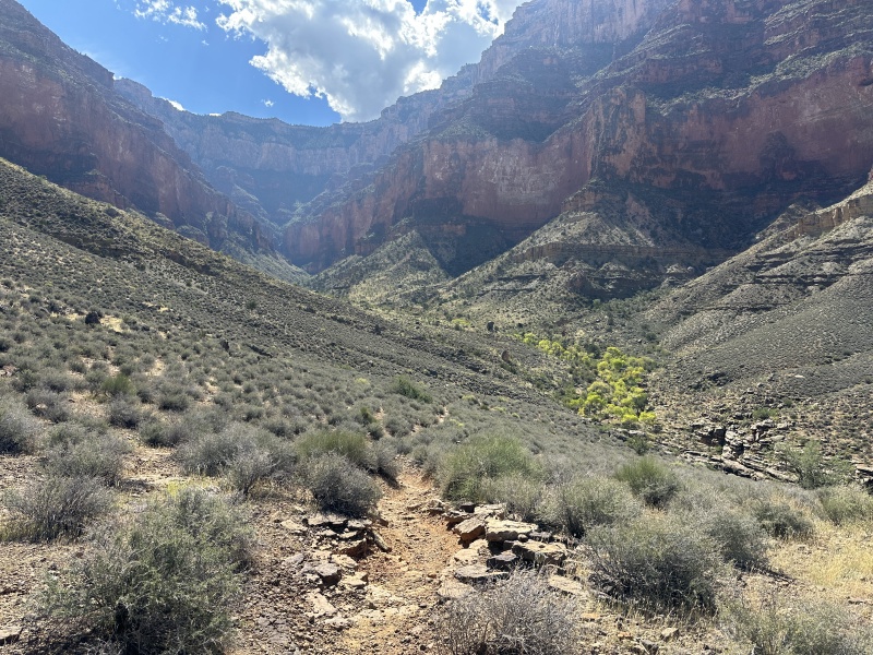 2023/10(October)/Grand-Canyon-Suzi-Carl-Travis/800x600_2023-10-08-Grand-Canyon-181.JPG