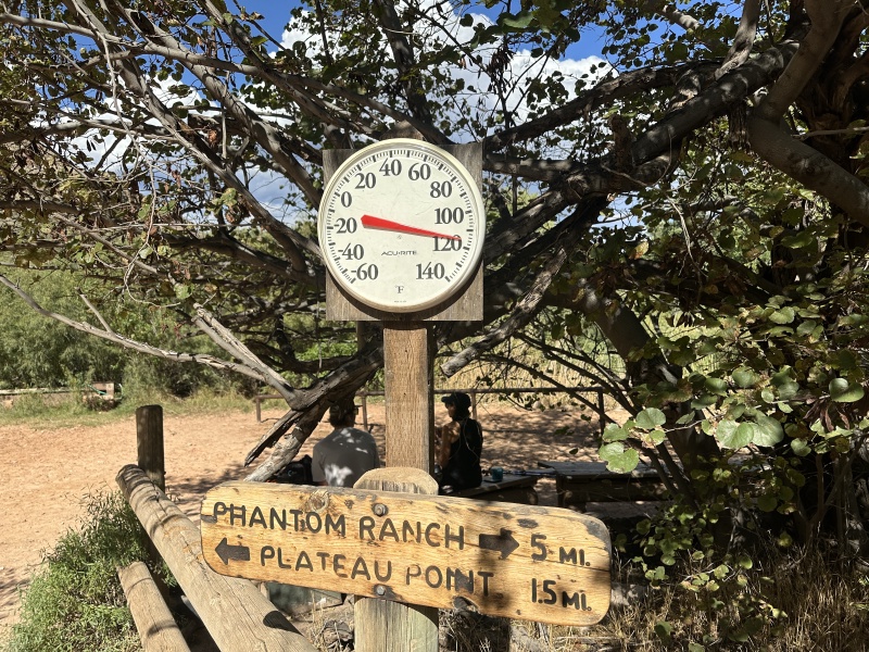 2023-10-08-Grand-Canyon-188-Havasupai-Gardens-Thermometer-118-degrees.JPG