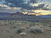 2023-10-08-Grand-Canyon-151.JPG