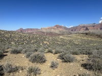 2023-10-08-Grand-Canyon-170.JPG