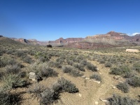 2023-10-08-Grand-Canyon-172-tipoff.JPG
