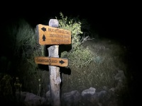 2023-10-09-Grand-Canyon-194-Early-Morning-Hike-out.JPG